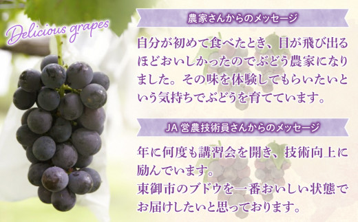 縲仙郁。悟女莉2026蟷エ逋コ騾√醍ィョ縺ゅj蟾ィ蟲ー邏2kgシ4ス6謌ソシ会ス廱A菫。蟾槭≧縺医□譚ア驛ィ蝨ー蛹コ蝟カ霎イ隱イ 髟キ驥 譚ア蠕。蟶やサ9譛井ク頑流ス10譛井ク頑流鬆縺雁ア翫¢莠亥ョ