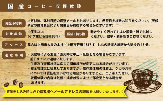 国産コーヒー収穫体験4名様分 20,000円分 ｜コーヒーチェリー 収穫 試飲 体験 