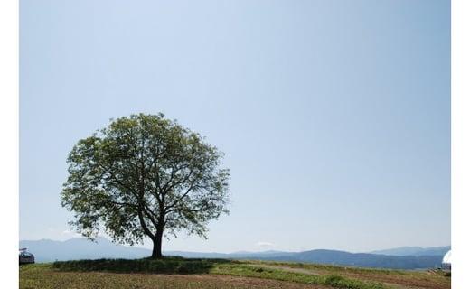 螟ァ螳ケ驥擾シ∝翁縺阪¥繧九∩2kg 縲千┌蝪ゥ繝サ辟。豐ケ縲托シ2025蟷エ蜿守ゥォ蛻シ会ス廱A菫。蟾槭≧縺医□譚ア驛ィ蝨ー蛹コ蝟カ霎イ隱イ 閭。譯 菫。豼縺上k縺ソ 繝翫ャ繝 縺翫▽縺セ縺ソ 縺翫d縺、 蝗ス逕」 菫。蟾 髟キ驥守恁譚ア蠕。蟶