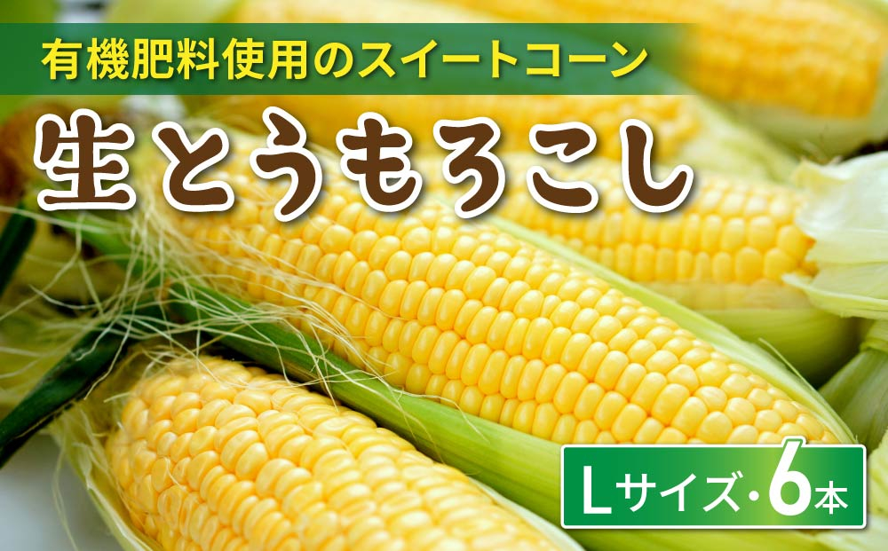 生とうもろこし Lサイズ 6本 有機肥料使用のスイートコーン！ 長野県東御市産 ※7月上旬から順次発送予定※発送曜日指定不可