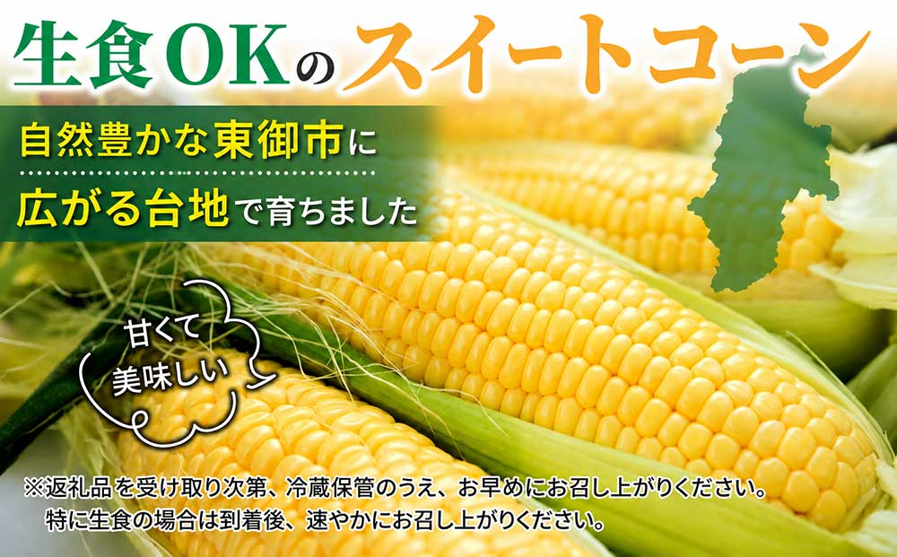 生とうもろこし Lサイズ 6本 有機肥料使用のスイートコーン！ 長野県東御市産 ※7月上旬から順次発送予定※発送日指定不可