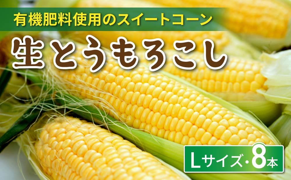 生とうもろこし Lサイズ 8本  有機肥料使用のスイートコーン！ 長野県東御市産 ※7月上旬から順次発送予定※発送曜日指定不可