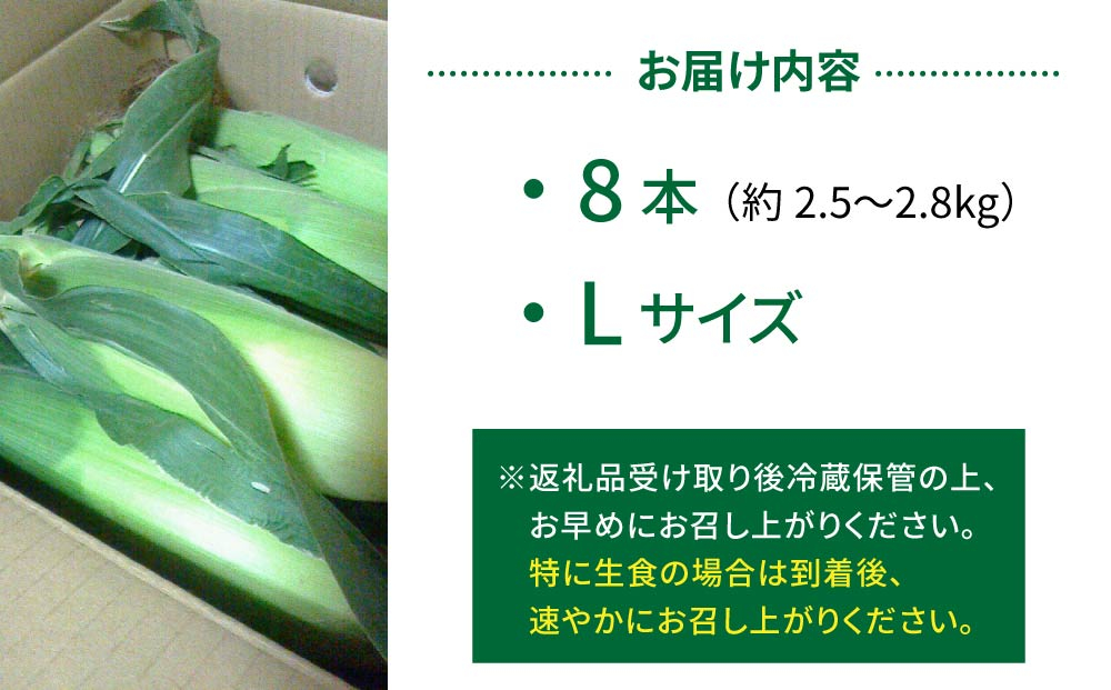 生とうもろこし Lサイズ 8本  有機肥料使用のスイートコーン！ 長野県東御市産 ※7月上旬から順次発送予定※発送日指定不可