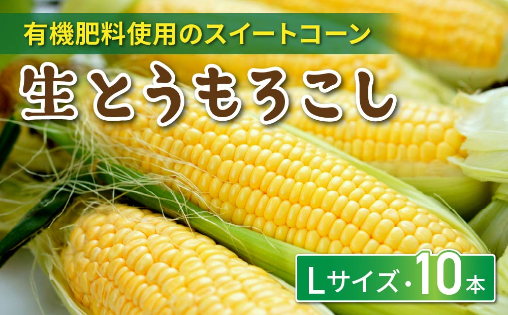 生とうもろこし Lサイズ 10本 有機肥料使用のスイートコーン！ 長野県東御市産 ※7月上旬から順次発送予定※発送曜日指定不可
