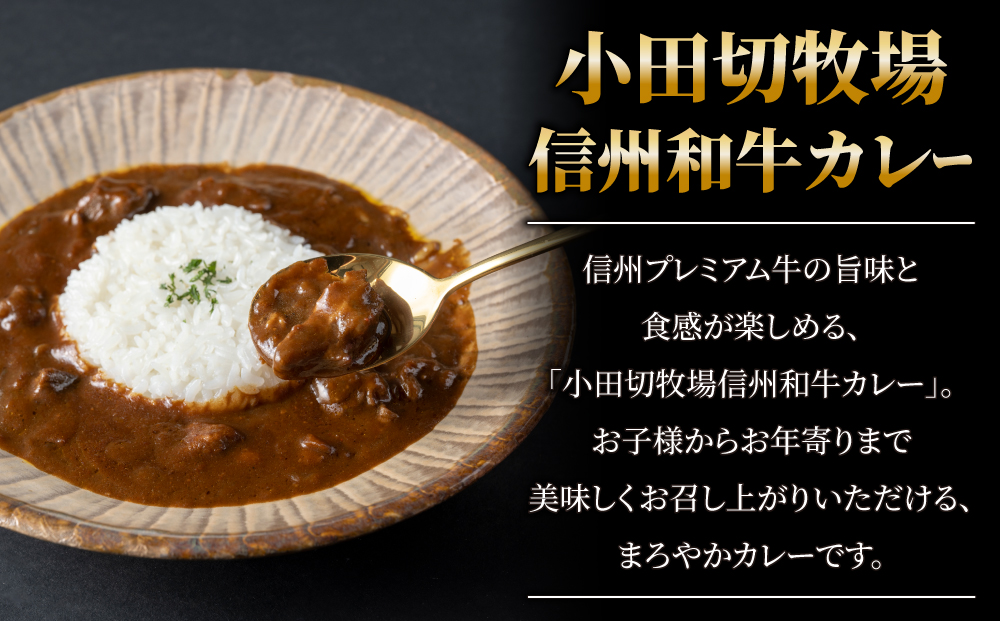 【小田切牧場】信州和牛カレー５個・ビーフシチュー5個、合計10個セット