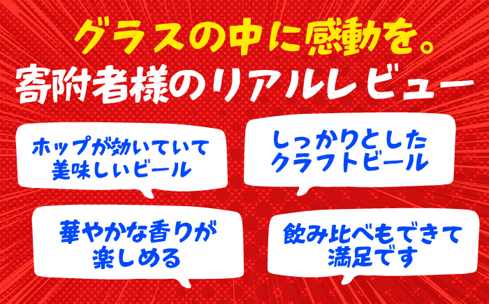 ヌーベル・セゾン10本セット クラフトビール