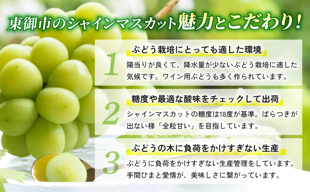 ãå
è¡åä»2026幎çºéãæ±åŸ¡åžç£ã·ã£ã€ã³ãã¹ã«ãã2æ¿ãç§ãå±ãã é·éç é·é äººæ° ã¶ã©ã èŽççš ã®ãã 2æ¿ ãã«ãŒã æç© ãããã å³éž çš®ç¡ã ç®ã㚠倧ç²