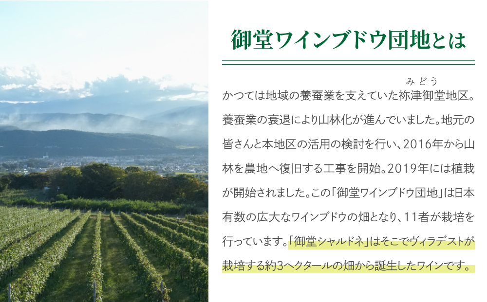 ããŽã£ã©ãã¹ãã¯ã€ããªãŒã埡å ïŒã¿ã©ãïŒã·ã£ã«ããã4æ¬