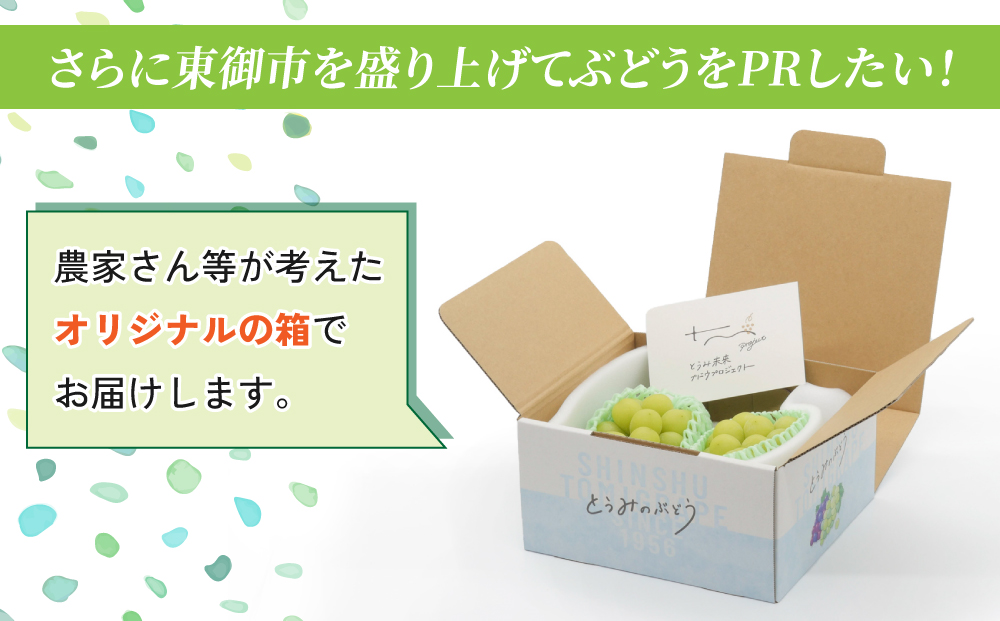 ãå
è¡åä»2026幎çºéãæ±åŸ¡åžç£ã·ã£ã€ã³ãã¹ã«ãã2æ¿ãç§ãå±ãã é·éç é·é äººæ° ã¶ã©ã èŽççš ã®ãã 2æ¿ ãã«ãŒã æç© ãããã å³éž çš®ç¡ã ç®ã㚠倧ç²