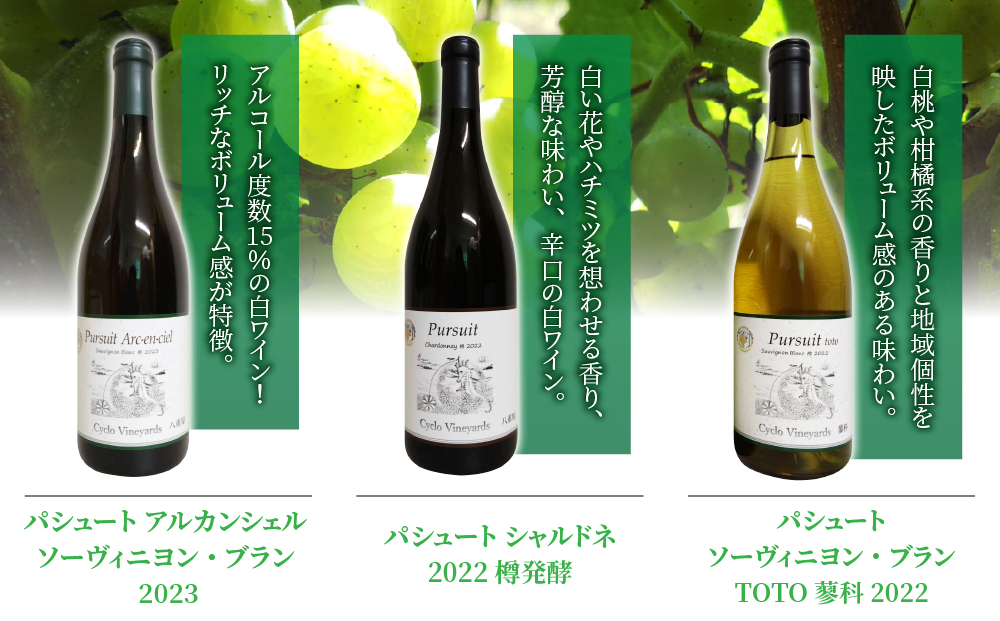 蜃埼惧螳ウ 蠢懈抄!!縲縲檎・槭ョ髮ォ縲阪b縲後Α繧キ繝・繝ゥ繝ウ縲阪b 蜻ウ繧上>蟆ス縺上☆縲496繝ッ繧、繝翫Μ繝シ縲