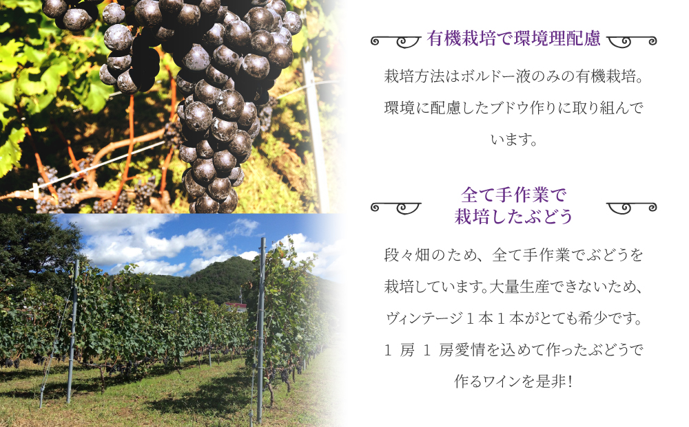 東御市産赤ワイン HIRO 2019｜メルロー