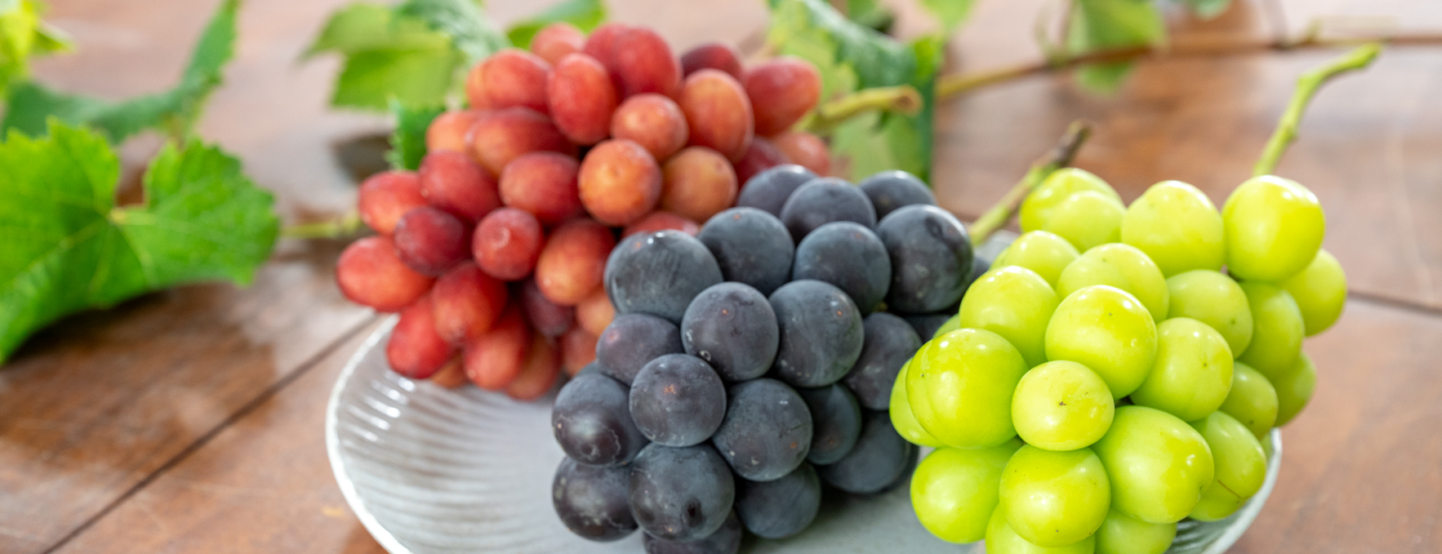 髟キ驥守恁 譚ア蠕。蟶