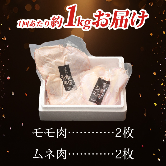 【６回定期便 】信州黄金シャモモモ・ムネ肉セット