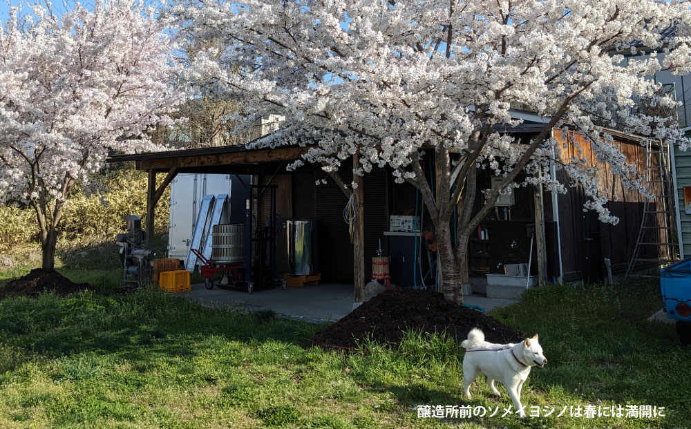 【アトリエデュヴァン】赤ワイン（ピノ・ノワール）2020、2021 ヴィンテージ、合計2本セット