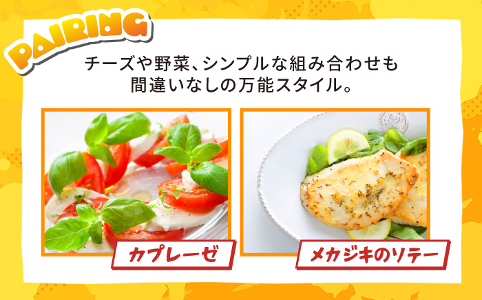 【4回定期便】ゴールデンエール10本 クラフトビール