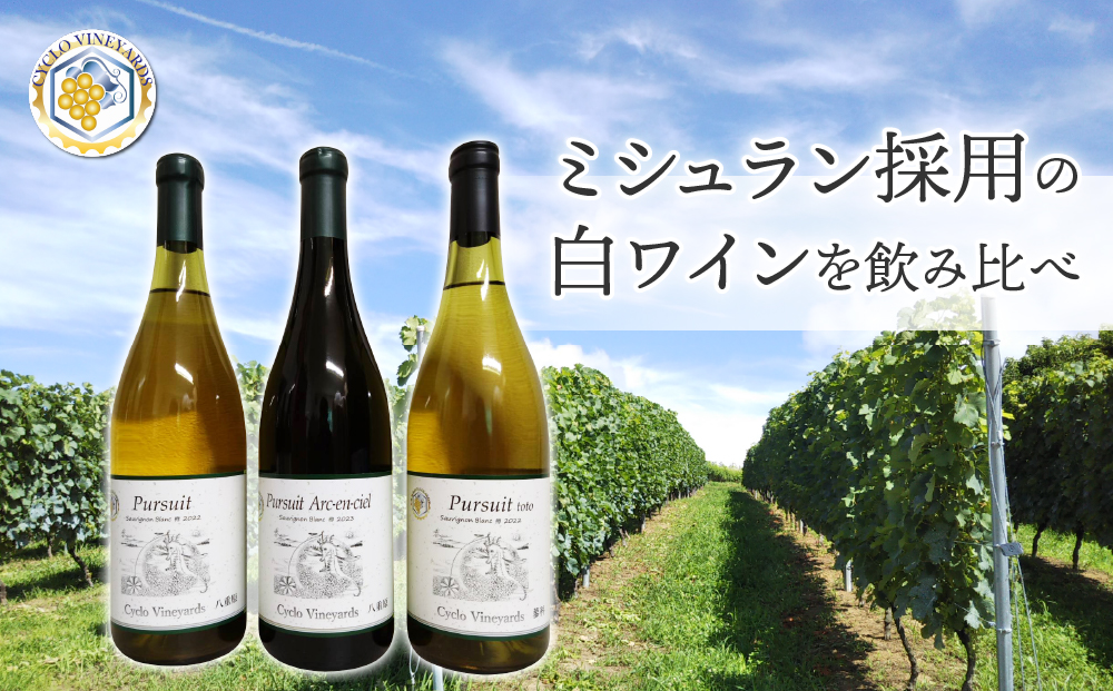 凍霜害 応援!!　ミシュラン採用の白ワインを飲み比べ【496ワイナリー】
