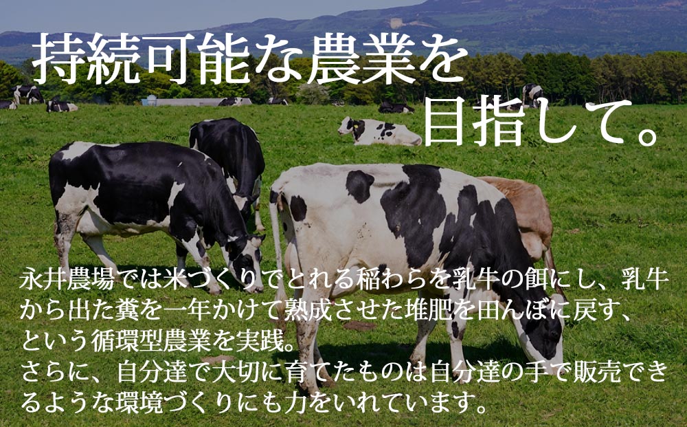 チーズ・ヨーグルト詰め合わせセット（飲むヨーグルト、固形ヨーグルト、フレッシュモッツァレラチーズ、熟成モッツァレラチーズ ）【永井農場】｜ナガイファーム