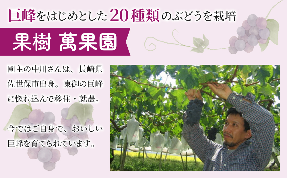 縲占成譫懷恍縲大キィ蟲ー繧ク繝・繝シ繧ケ100シ縲1L縲6譛ャ繧サ繝繝