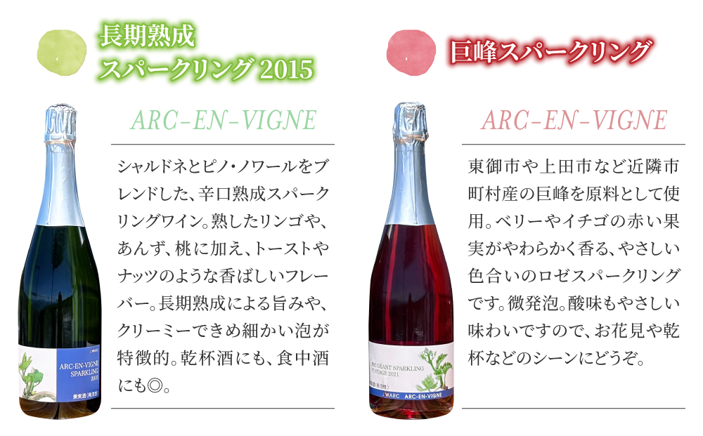 【アルカンヴィーニュ】長期熟成スパークリング＆巨峰スパークリングワイン２本セット　辛口 お酒 ギフト プレゼント 果実酒 瓶 国産 信州 長野県東御市