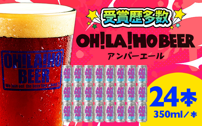 アンバーエール 24本セット クラフトビール