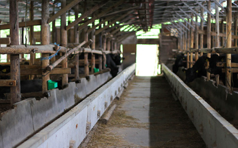 迚ァ闊弱∩縺ュ繧繧 繝薙シ繝輔き繝ャ繝シ5蛟九そ繝繝_ 窶サ逹譌・謖螳壻ク榊庄