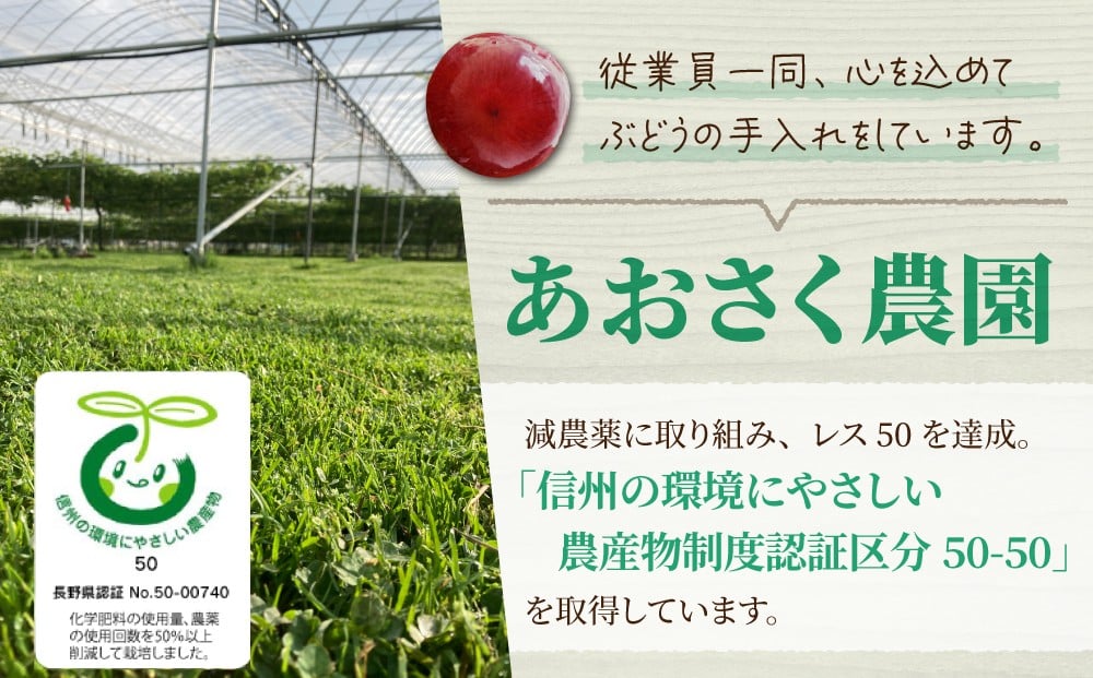 ãå
è¡åä»2026幎çºéãèš³ã¢ãªã·ã£ã€ã³ãã¹ã«ãã BçŽåã1.5kg以äžïœãããã蟲åãâ»2026幎9æäžæ¬ä»¥éçºéäºå®ïœèŸ²è¬åæž