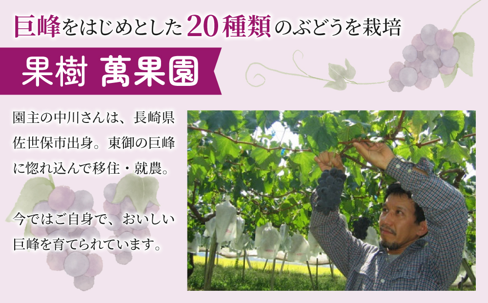 【萬果園】巨峰ジュース100％　1L　2本セット