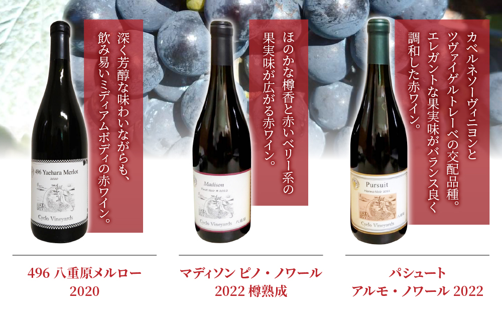 蜃埼惧螳ウ 蠢懈抄!!縲縲檎・槭ョ髮ォ縲阪b縲後Α繧キ繝・繝ゥ繝ウ縲阪b 蜻ウ繧上>蟆ス縺上☆縲496繝ッ繧、繝翫Μ繝シ縲