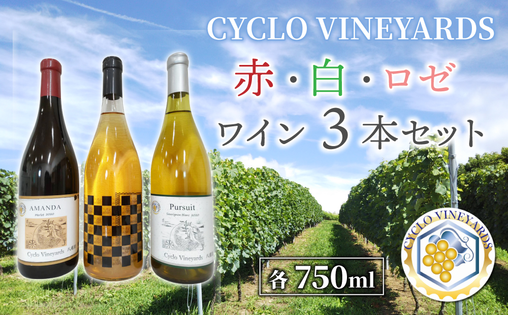 【限定50セット】496ワイナリー プレミアムワイン３本セット(赤・白・ロゼ 各1本)東御市産