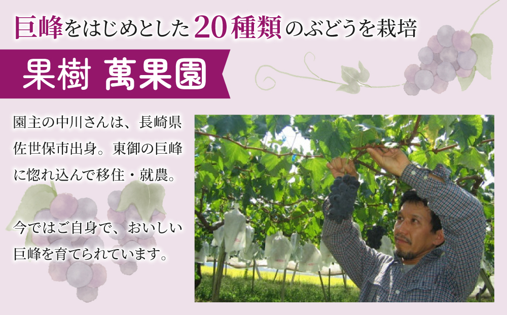 【萬果園】巨峰ジュース2本・巨峰ジャム2個セット