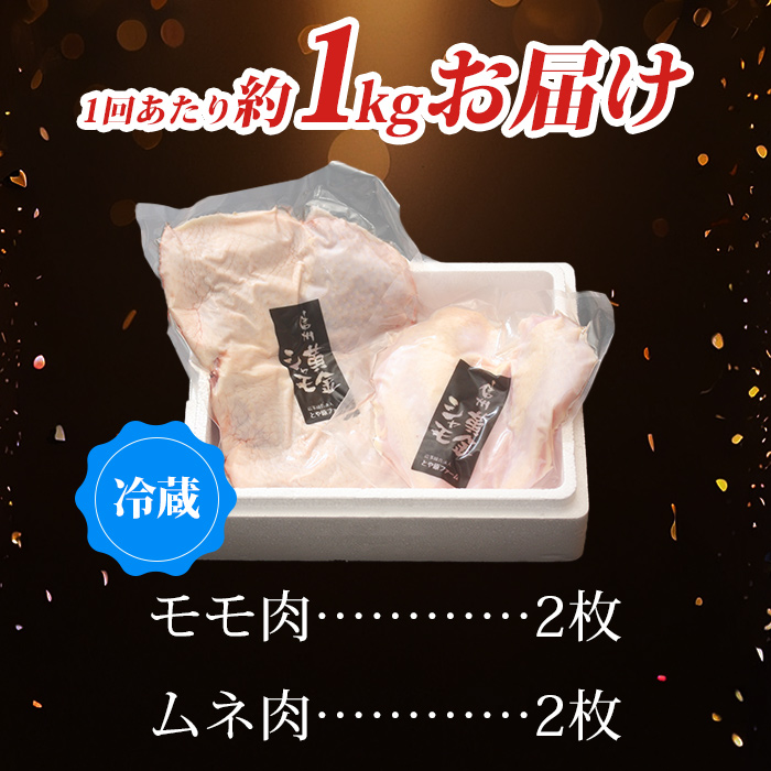 【3回定期便 】朝びき！信州黄金シャモモモ・ムネ肉セット