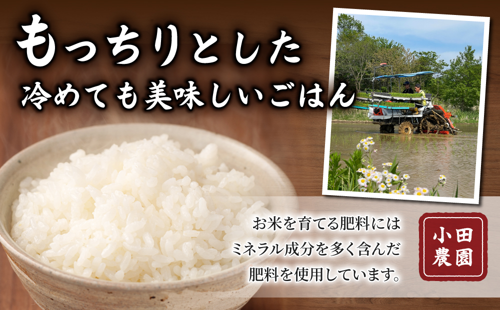 白米8kg（4kg×2袋） 冷めても美味しいコシヒカリ【小田農園】｜最短4〜7日程度でお届け　※着日指定不可