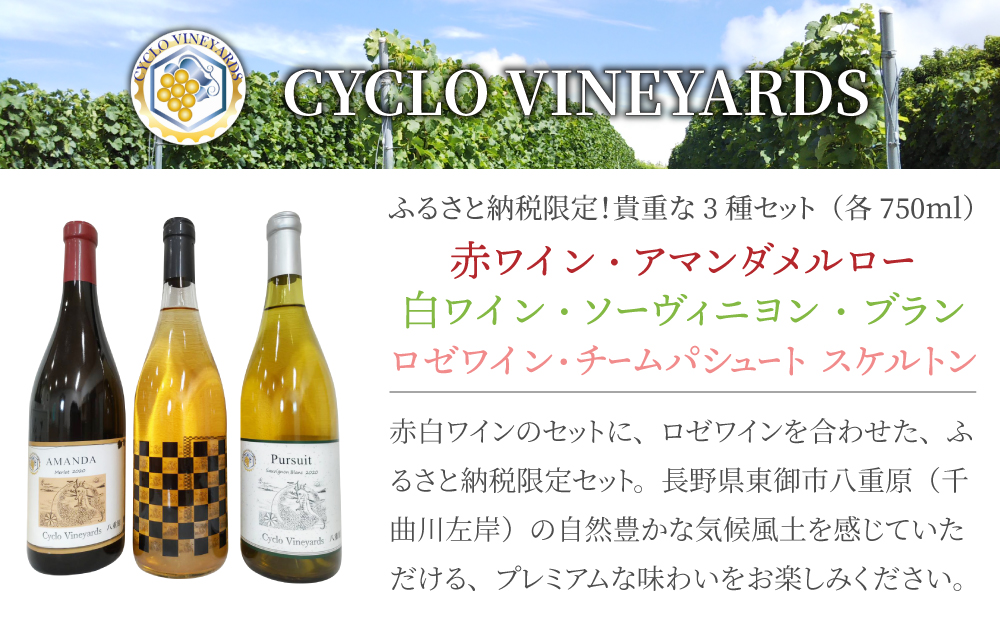 【限定50セット】496ワイナリー プレミアムワイン３本セット(赤・白・ロゼ 各1本)東御市産