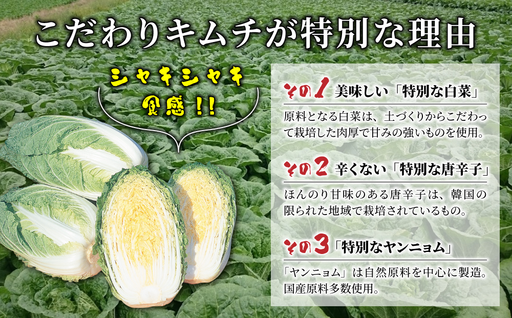 信州望月高原こだわりキムチ （6個セット） |_ 国産 白菜 発酵食品 漬物 信州 カナモト食品 無添加 人気 長野 長野県 東御市 小分け