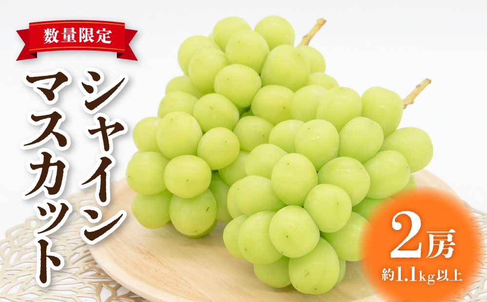 ãå
è¡åä»2026幎çºéãæ±åŸ¡åžç£ã·ã£ã€ã³ãã¹ã«ãã2æ¿ãç§ãå±ãã é·éç é·é äººæ° ã¶ã©ã èŽççš ã®ãã 2æ¿ ãã«ãŒã æç© ãããã å³éž çš®ç¡ã ç®ã㚠倧ç²