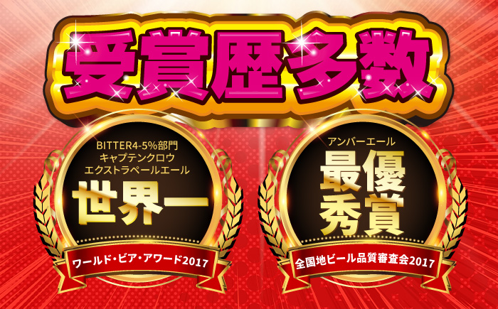 【4回定期便】ゴールデンエール10本 クラフトビール