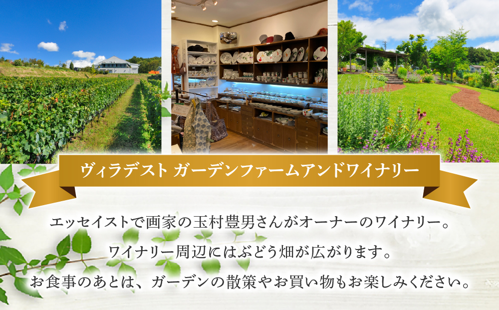 繝エ繧」繝ゥ繝繧ケ繝医繧ャ繝シ繝繝ウ繝輔ぃ繝シ繝繧「繝ウ繝峨Ρ繧、繝翫Μ繝シ縲繝ゥ繝ウ繝√さ繝シ繧ケ鬟滉コ句虻