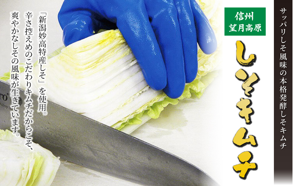 信州望月高原しそキムチ（3個セット）