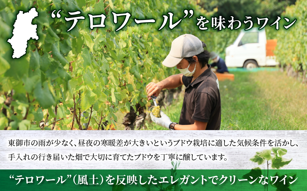 ããŽã£ã©ãã¹ãã¯ã€ããªãŒãèµ€çœã¯ã€ã³2æ¬ã»ããïŒããªãããŒã© ã·ã£ã«ããïŒããªãããŒã©ã¡ã«ããŒã»ã«ãã«ãïŒ | é·é é·éç æ±åŸ¡åž æ±åŸ¡ã¯ã€ã³ èŸå£ æ¥æ¬ã¯ã€ã³ é£²ã¿æ¯ã¹