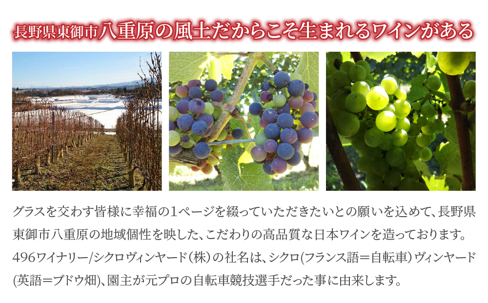 ãã·ã¥ã©ã³æç²åŸã¬ã¹ãã©ã³æ¡çšã®çœã¯ã€ã³ã496ã¯ã€ããªãŒã