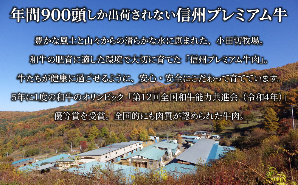 【12回定期便】小田切牧場 信州和牛ビーフシチュー5個セット