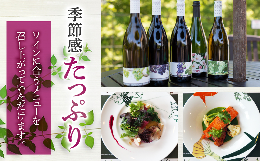 繝エ繧」繝ゥ繝繧ケ繝医繧ャ繝シ繝繝ウ繝輔ぃ繝シ繝繧「繝ウ繝峨Ρ繧、繝翫Μ繝シ縲繝ゥ繝ウ繝√さ繝シ繧ケ鬟滉コ句虻