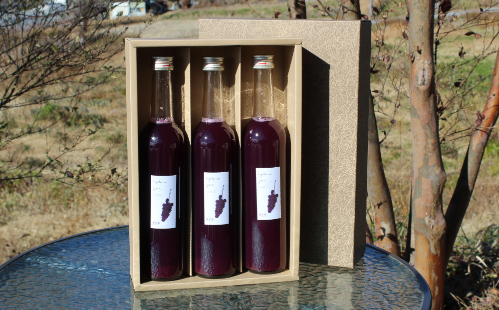 【萬果園】巨峰ジュース500ml 3本セット