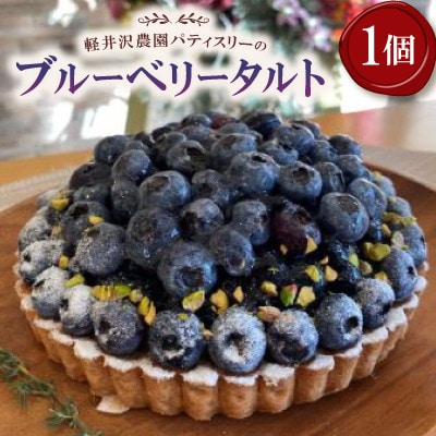 【毎月定期便】軽井沢の農園パティスリー 人気ブルーベリータルト・チーズケーキの3点セット全3回【配送不可地域：離島】【4080208】