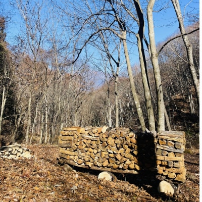 林業芸術社 乾燥薪(広葉樹約22cm /約50kg分/中割り〜)【複数個口で配送】【4081579】