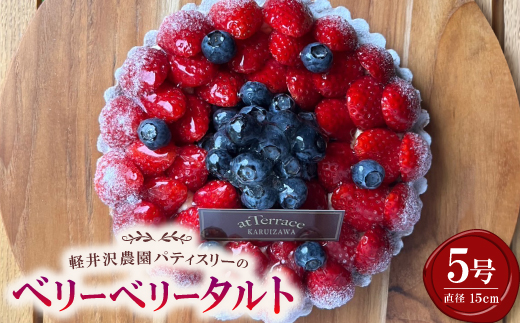 【冷凍】軽井沢農園パティスリーからベリーベリータルト5号【配送不可地域：離島】【1615744】