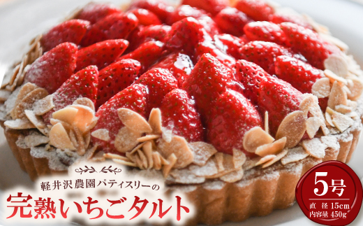 軽井沢農園パティスリーの完熟いちごタルト5号【配送不可地域：離島・北海道・沖縄県・中国・四国・九州】【1591170】