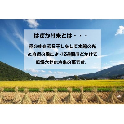 【令和5年産/はぜかけ米】長野県御代田町産あきたこまち精米10kg【1381349】