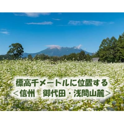 【信州の七割そば】みよた七割1セット24人前(250g×8袋)【1360239】