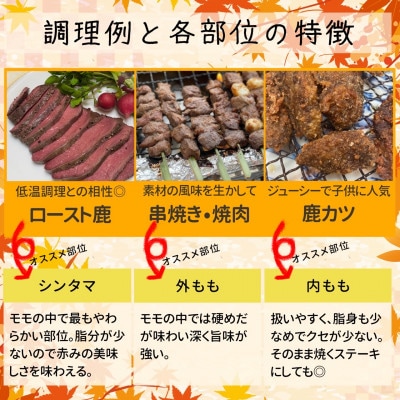 長野県産鹿肉ジビエ　鹿肉ももセット【シンタマ600g、内もも500g、外もも500g】【配送不可地域：離島】【1346165】